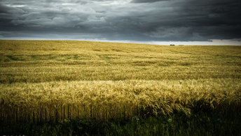 Saskatchewan
