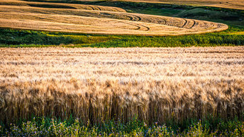 Saskatchewan