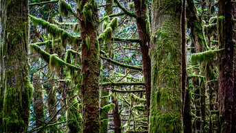 British Columbia