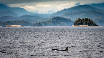 British Columbia