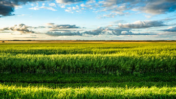 Saskatchewan